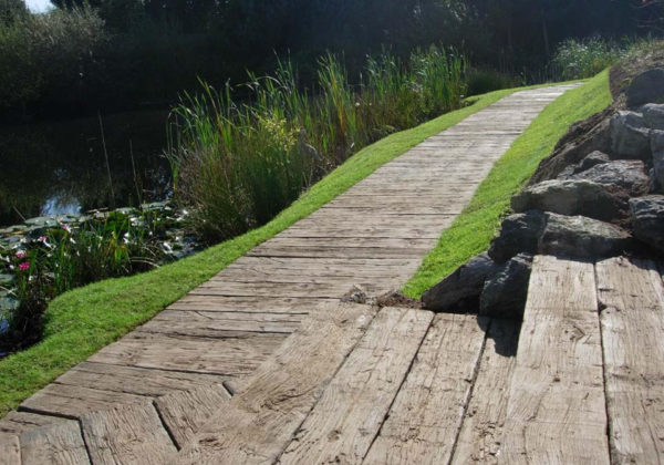 Lake-Board-Walk-011