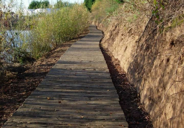 Lake-Board-Walk-021